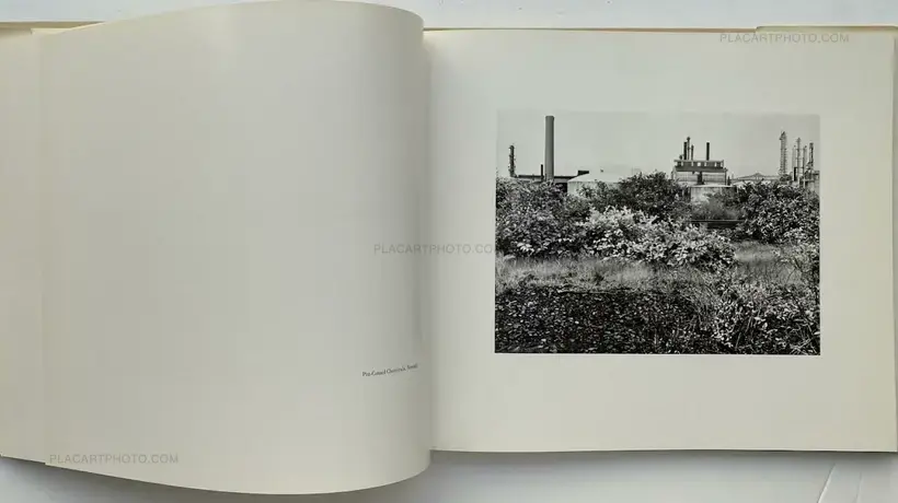 Ray Mortensen – MEADOWLAND
