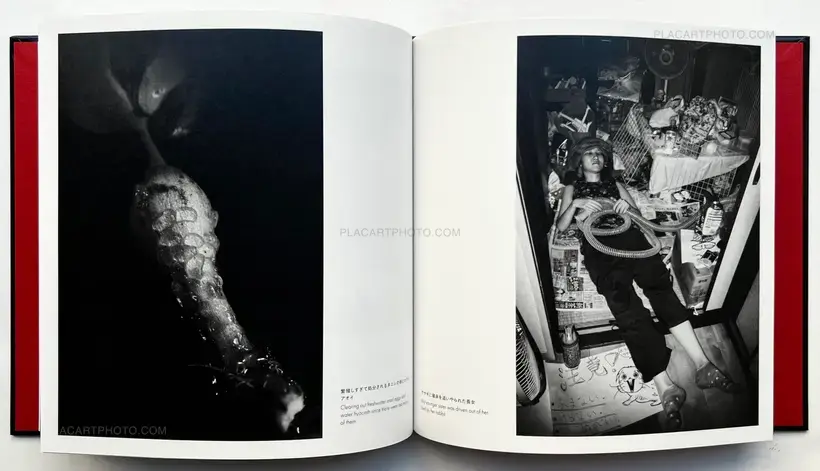 Masaki Yamamoto – The Yamamotos