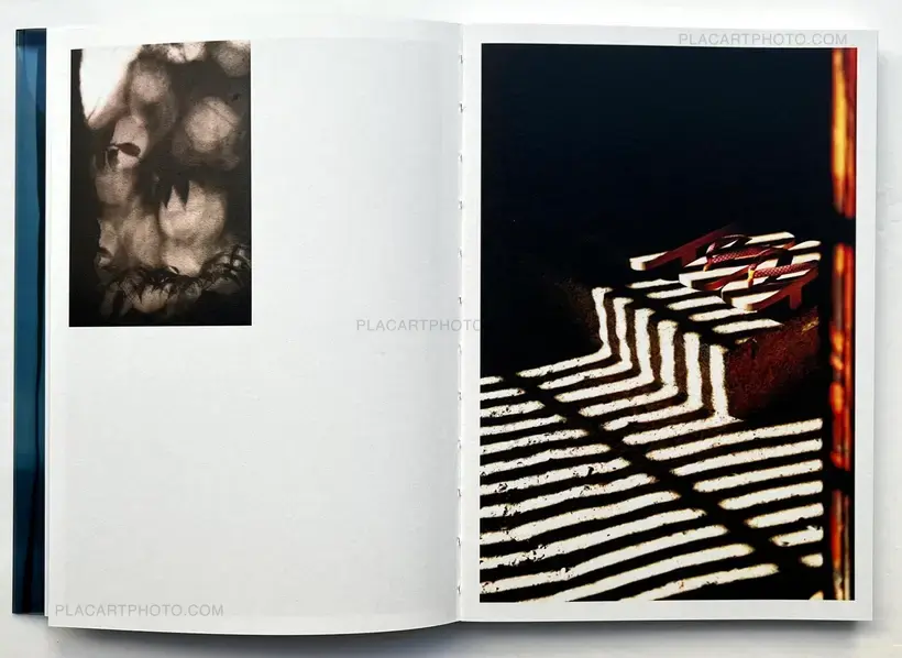 Sudi – Beyond shadow (Signed and numbered)