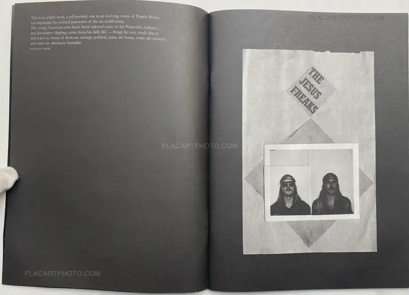 Dash Snow – You can't drink it if it's frozen
