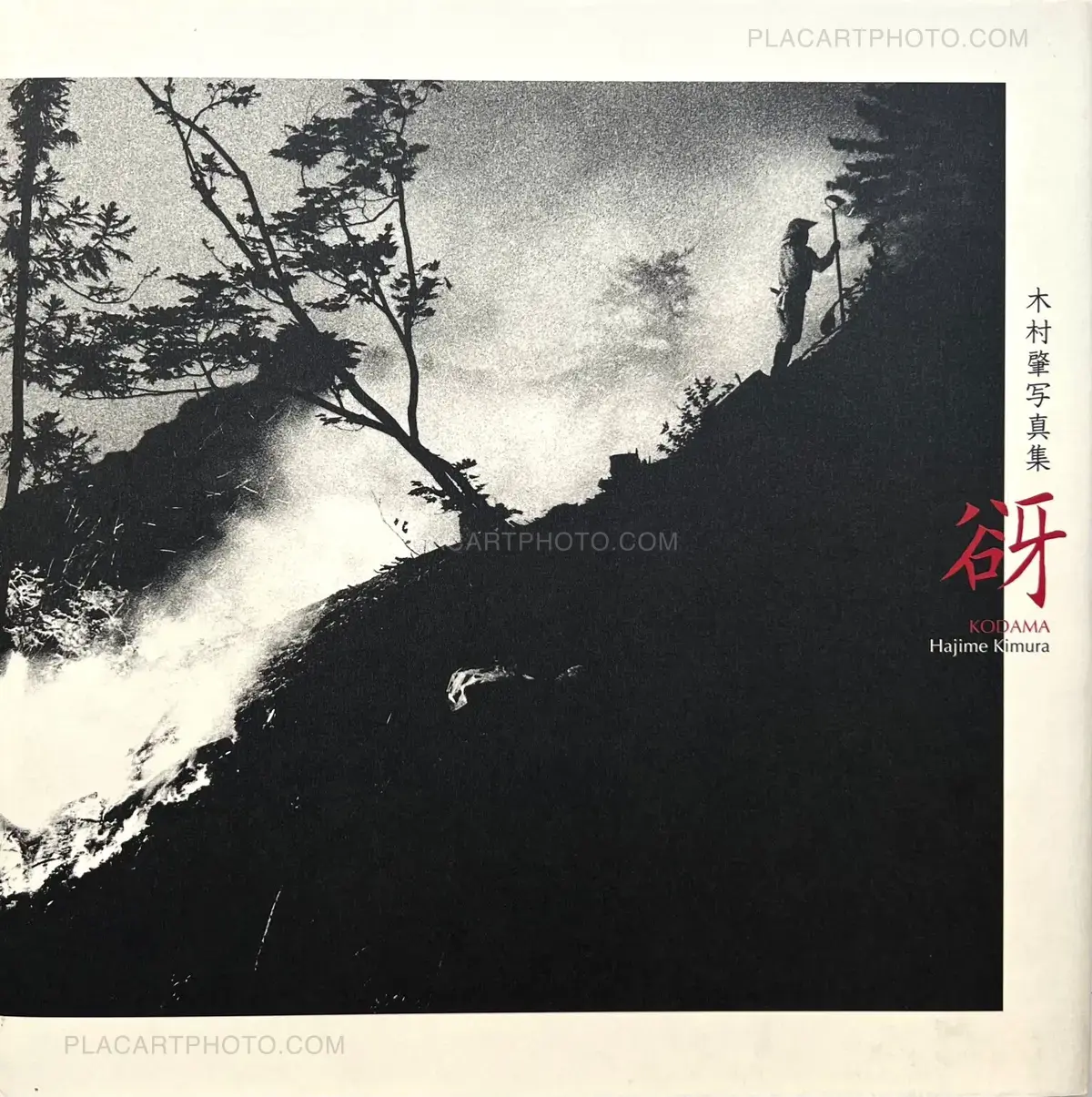 Hajime Kimura, Kodama (Signed and numbered), Mado sha, 2012 | Le