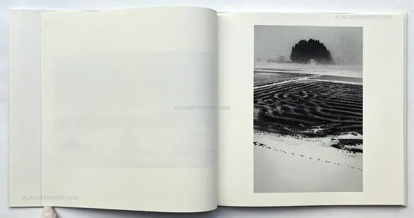 Hajime Kimura – Kodama (Signed and numbered)