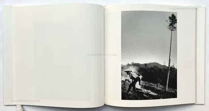 Hajime Kimura – Kodama (Signed and numbered)