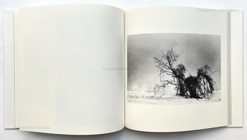 Hajime Kimura – Kodama (Signed and numbered)