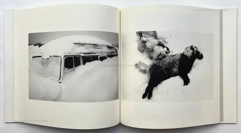 Hajime Kimura – Kodama (Signed and numbered)