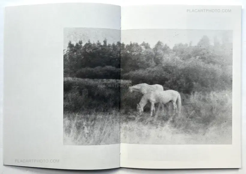 Martin Bogren – A Summer Of A Thousand Years (Edt 350, signed and numbered)