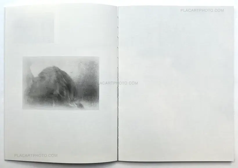 Martin Bogren – A Summer Of A Thousand Years (Edt 350, signed and numbered)
