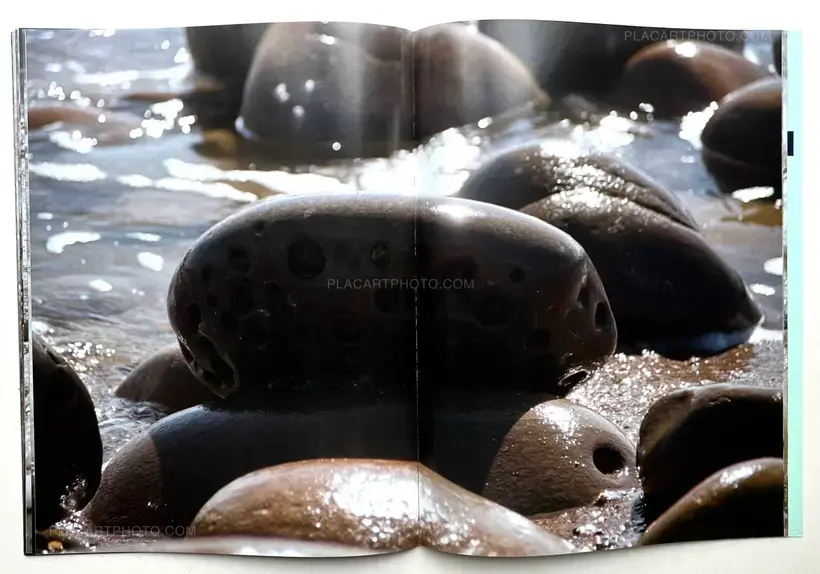 Sam Falls – Rock Waves (SIGNED)