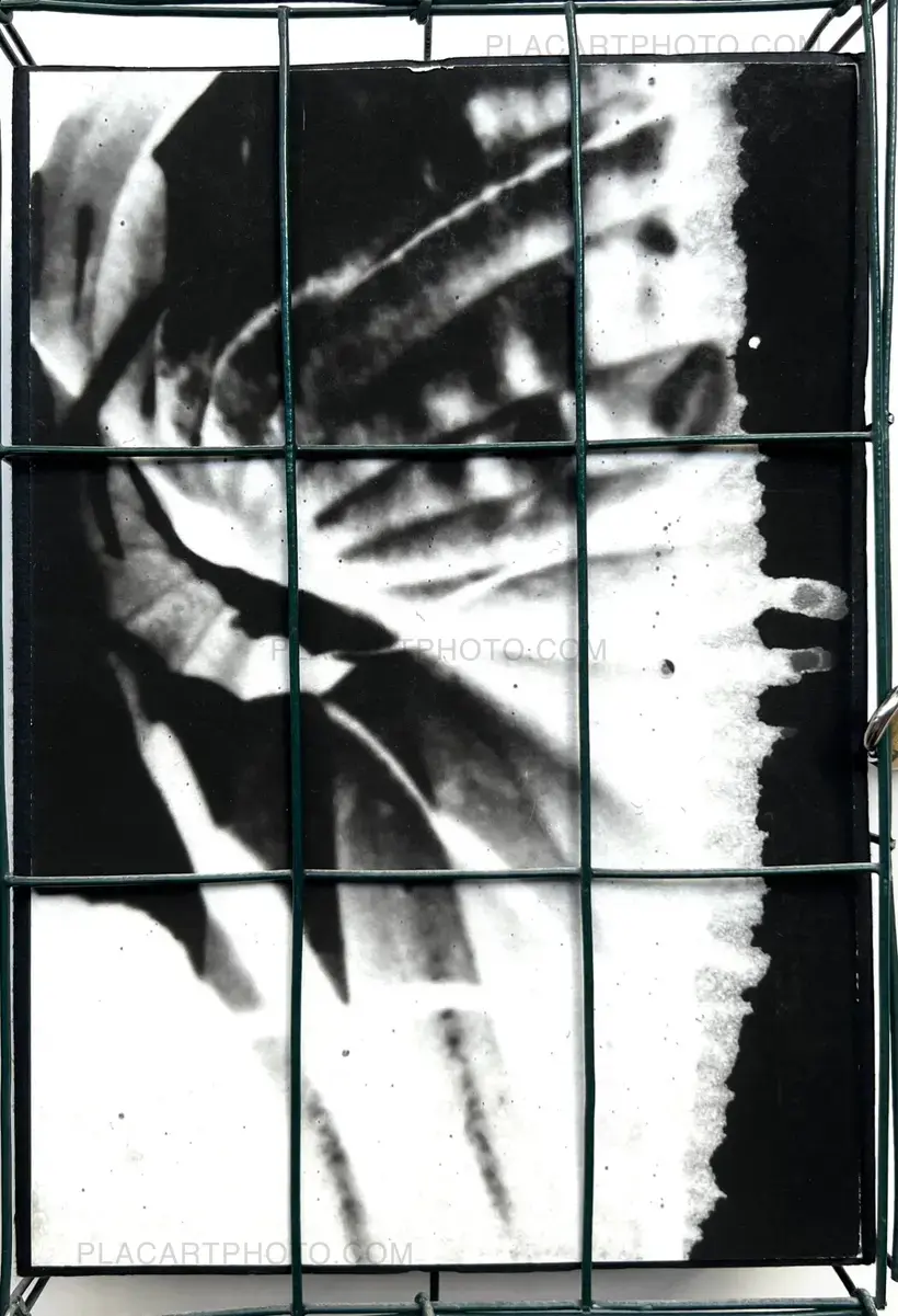 Alyssa Warren – HOSTA (PROTOTYPE VERSION)