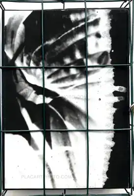 Alyssa Warren – HOSTA (PROTOTYPE VERSION)