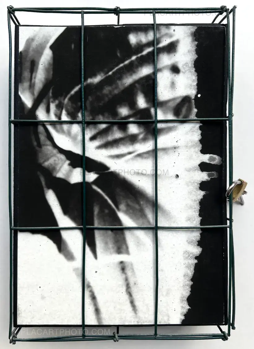 Alyssa Warren – HOSTA (PROTOTYPE VERSION)