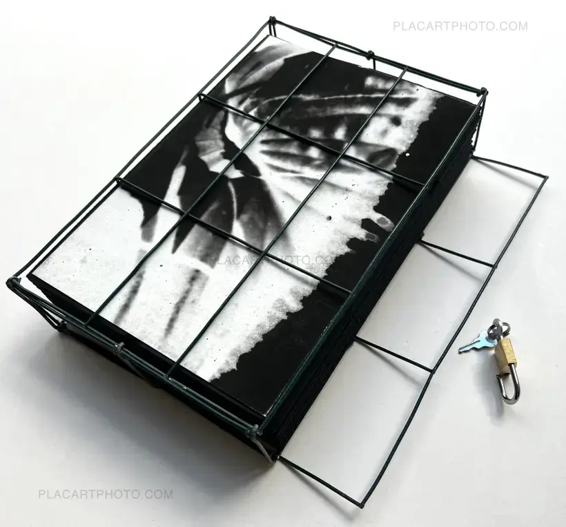 Alyssa Warren – HOSTA (PROTOTYPE VERSION)