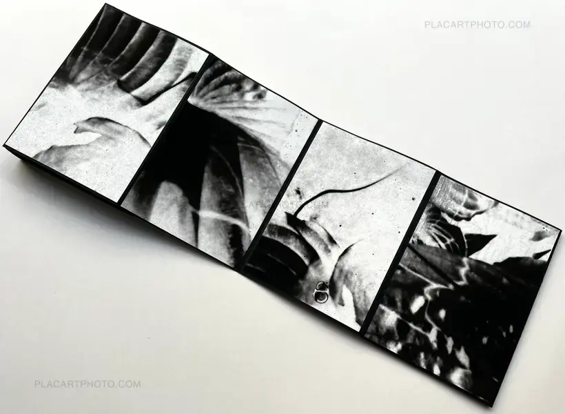 Alyssa Warren – HOSTA (PROTOTYPE VERSION)