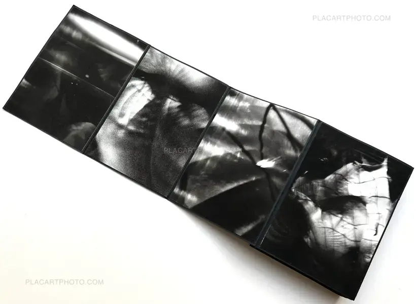 Alyssa Warren – HOSTA (PROTOTYPE VERSION)