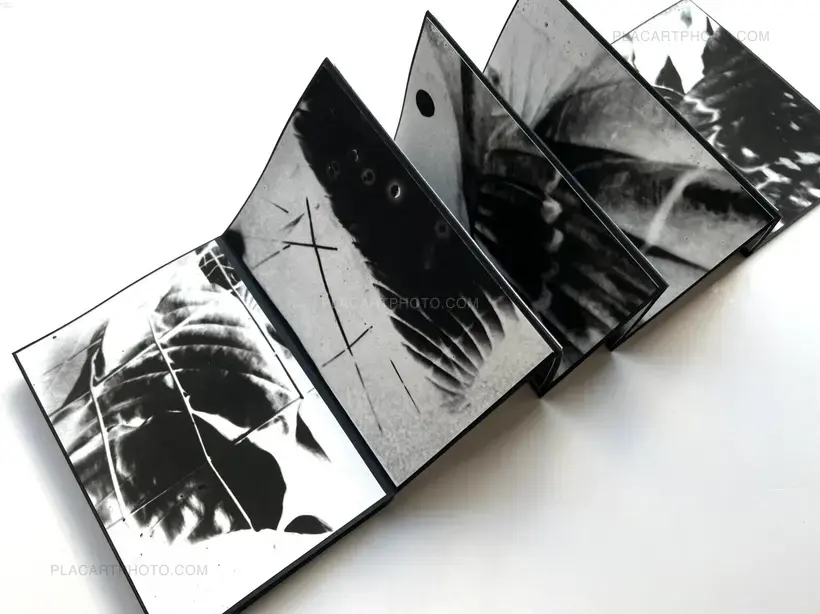 Alyssa Warren – HOSTA (PROTOTYPE VERSION)