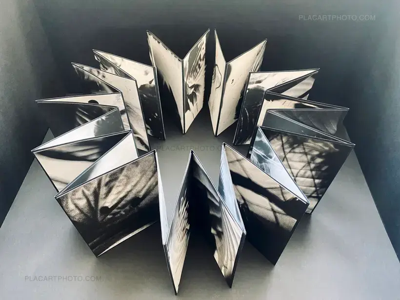 Alyssa Warren – HOSTA (PROTOTYPE VERSION)