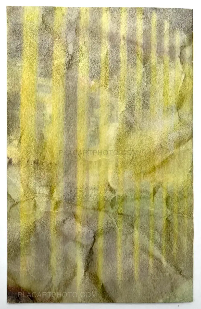 Sayo Senoo – tachinbo (bigger version. Signed and numbered, edt of 15)