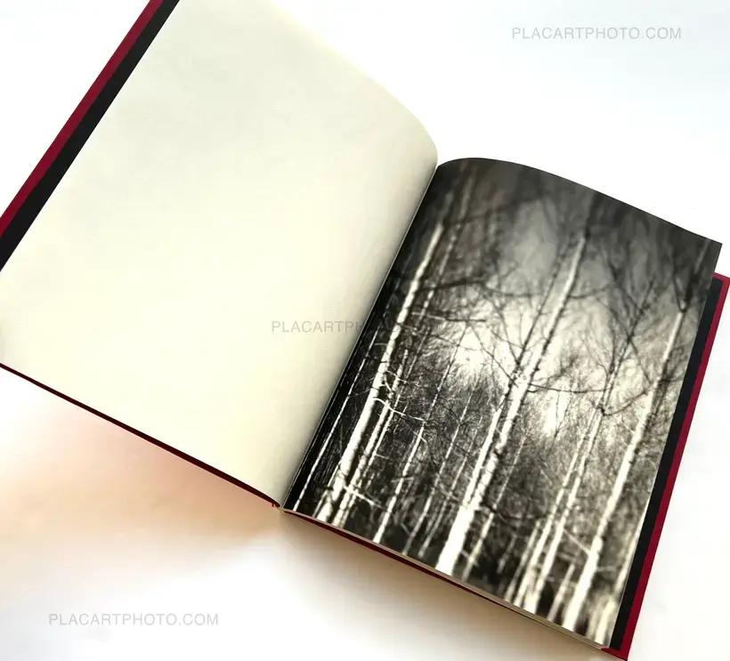 Pia Elizondo – Death is a bride (Signed and numbered)