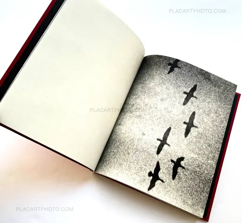 Pia Elizondo – Death is a bride (Signed and numbered)