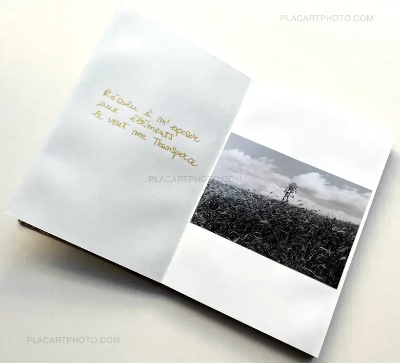 Veronica Mecchia – Le monde n'est-il pas une demeure d'illusion? (SIGNED AND NUMBERED)