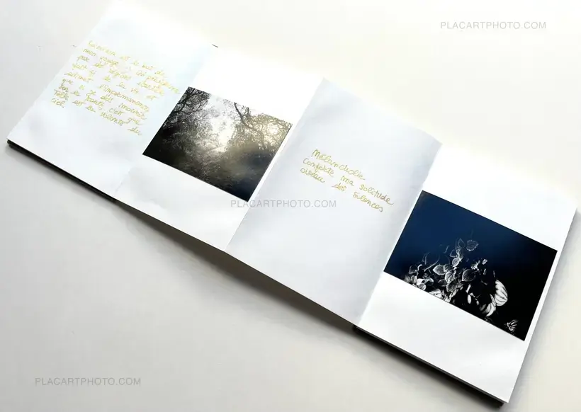 Veronica Mecchia – Le monde n'est-il pas une demeure d'illusion? (SIGNED AND NUMBERED)