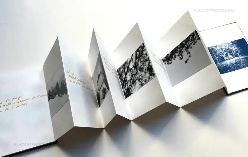 Veronica Mecchia – Le monde n'est-il pas une demeure d'illusion? (SIGNED AND NUMBERED)