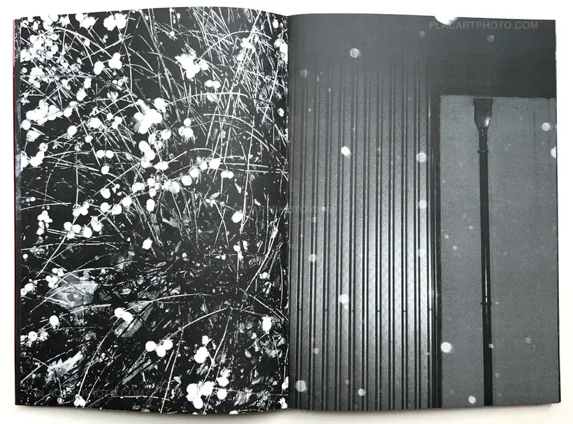 Julia Bohle – SOLSTICE (Signed and numbered, edt of 10)
