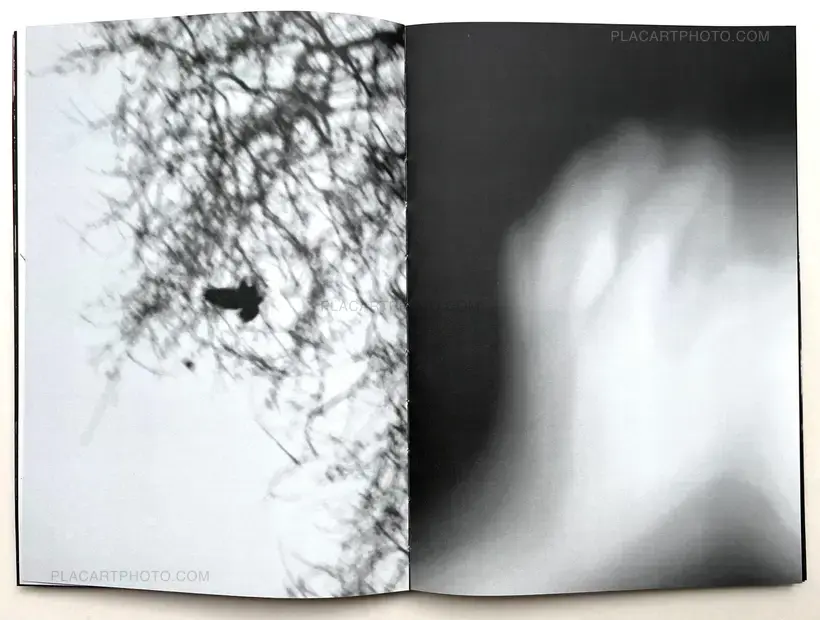 Julia Bohle – SOLSTICE (Signed and numbered, edt of 10)