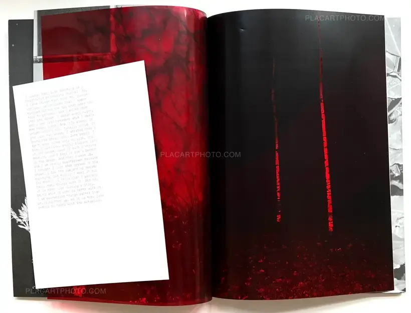 Julia Bohle – SOLSTICE (Signed and numbered, edt of 10)