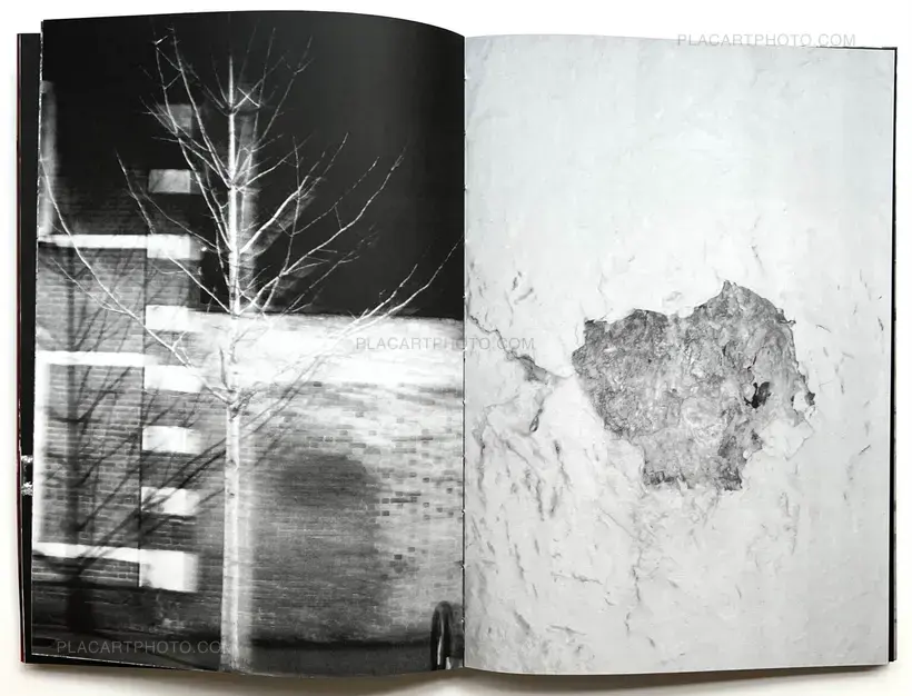 Julia Bohle – SOLSTICE (Signed and numbered, edt of 10)