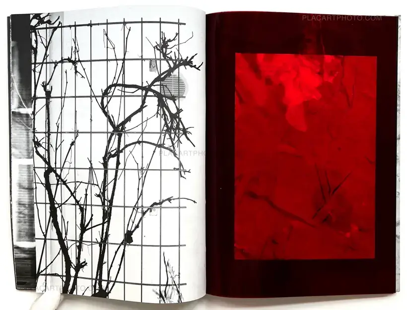 Julia Bohle – SOLSTICE (Signed and numbered, edt of 10)