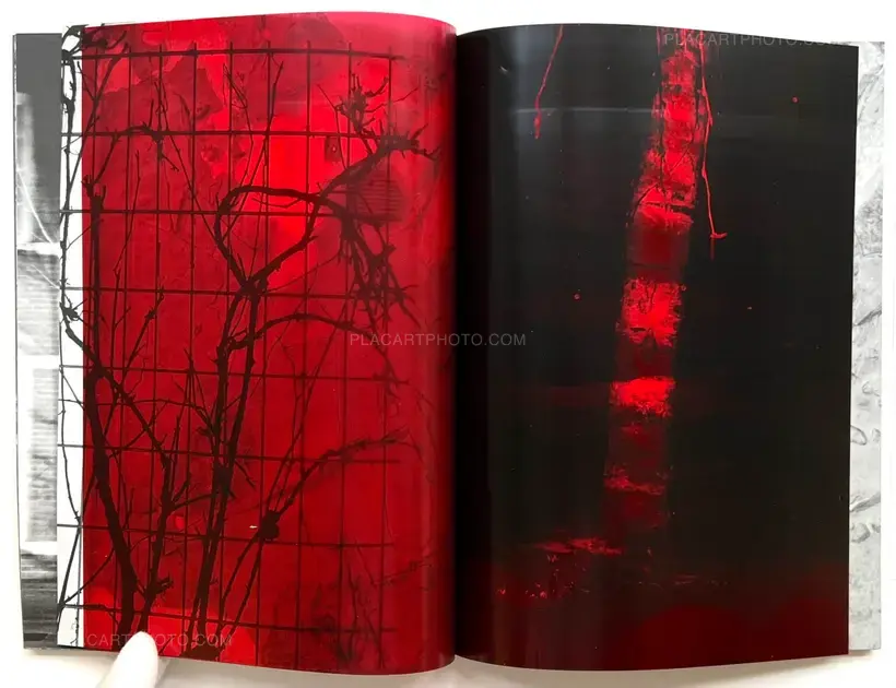 Julia Bohle – SOLSTICE (Signed and numbered, edt of 10)