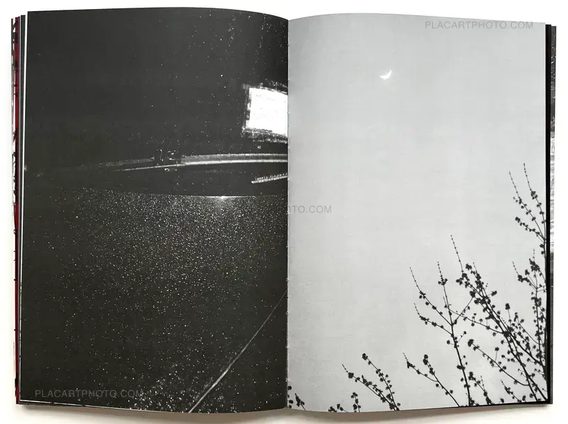 Julia Bohle – SOLSTICE (Signed and numbered, edt of 10)