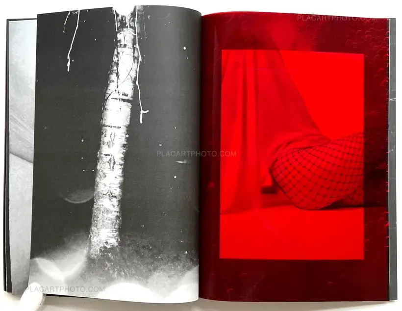 Julia Bohle – SOLSTICE (Signed and numbered, edt of 10)