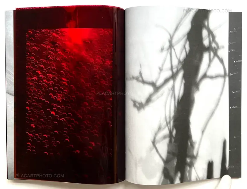 Julia Bohle – SOLSTICE (Signed and numbered, edt of 10)