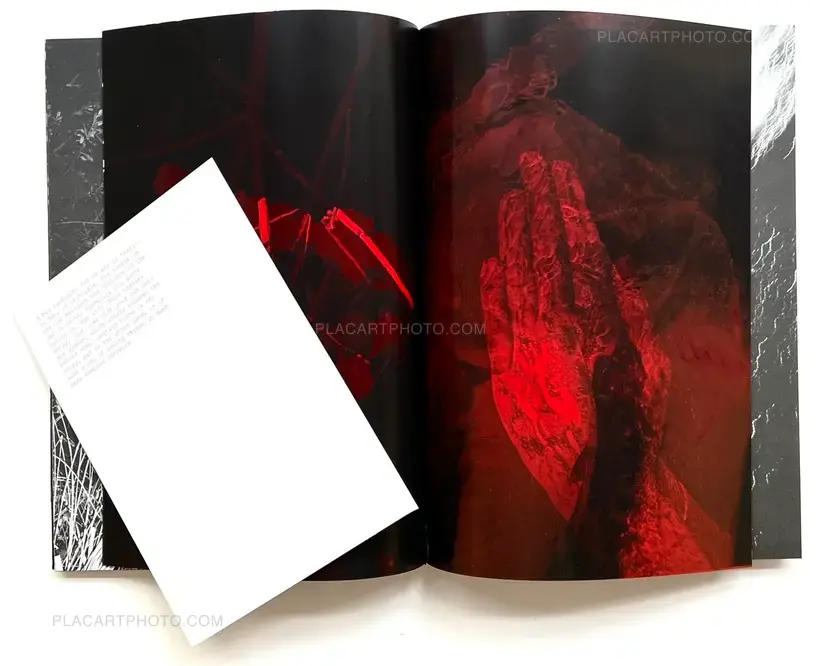Julia Bohle – SOLSTICE (Signed and numbered, edt of 10)