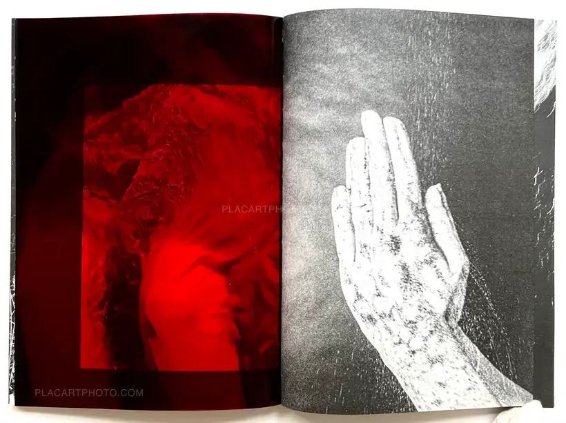 Julia Bohle – SOLSTICE (Signed and numbered, edt of 10)