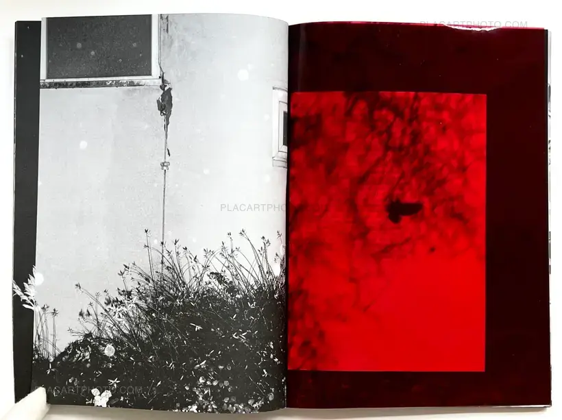 Julia Bohle – SOLSTICE (Signed and numbered, edt of 10)