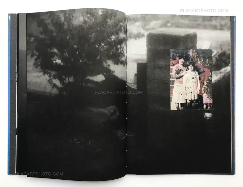 Mayumi Suzuki – The Restoration Will (ONLY 87 COPIES)