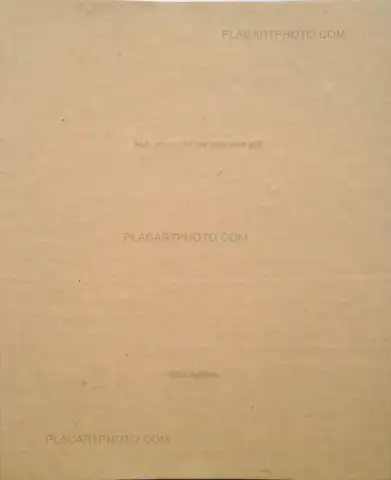 Miho Kajioka – And where did the peacocks go ? (SIGNED TRUE FIRST EDT ONLY 50 COPIES)