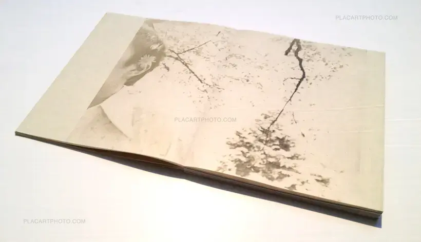 Miho Kajioka – And where did the peacocks go ? (SIGNED TRUE FIRST EDT ONLY 50 COPIES)