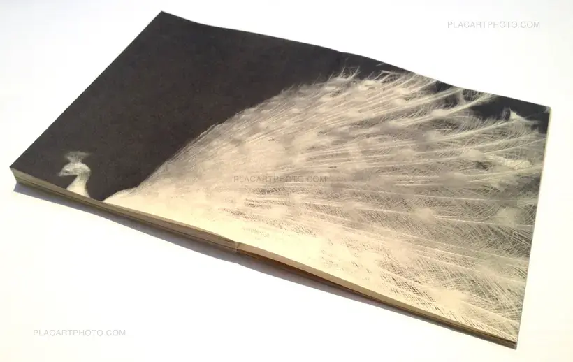 Miho Kajioka – And where did the peacocks go ? (SIGNED TRUE FIRST EDT ONLY 50 COPIES)