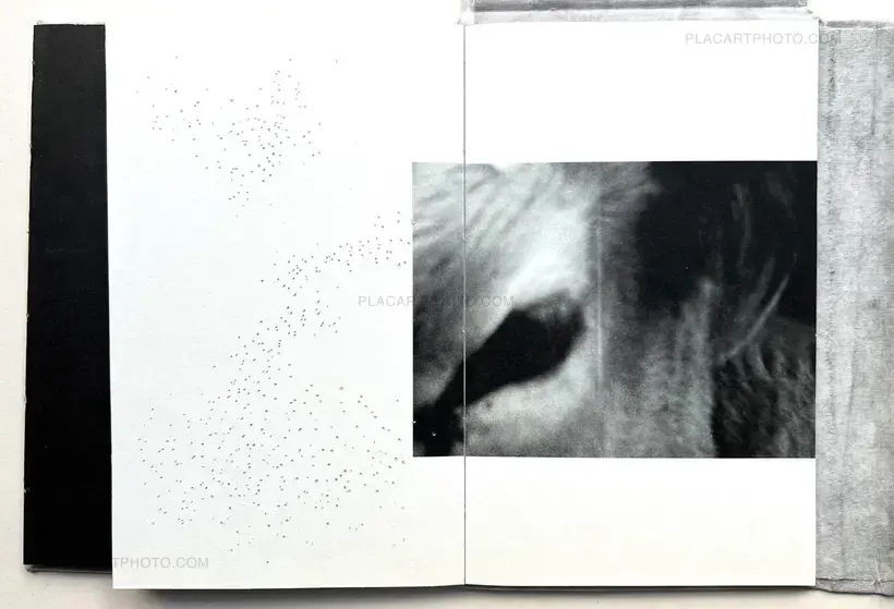 Mariia Ermolenko – Flow (Numbered, edt of 50)
