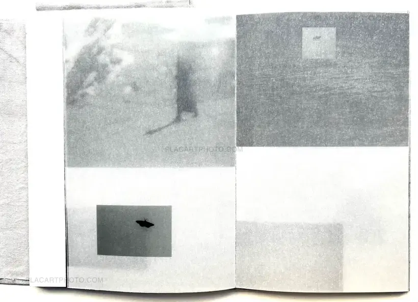 Mariia Ermolenko – Flow (Numbered, edt of 50)