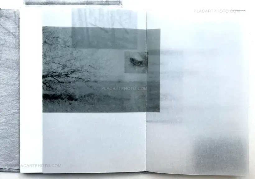 Mariia Ermolenko – Flow (Numbered, edt of 50)