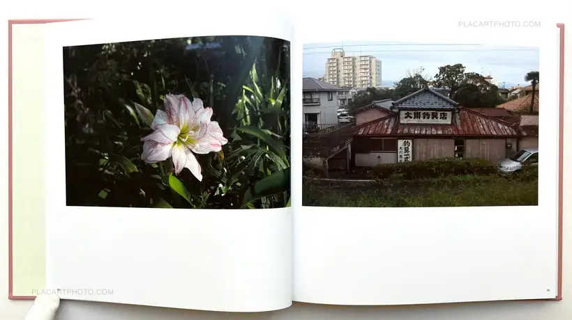 Atsushi Fujiwara – Sakura River (SIGNED)