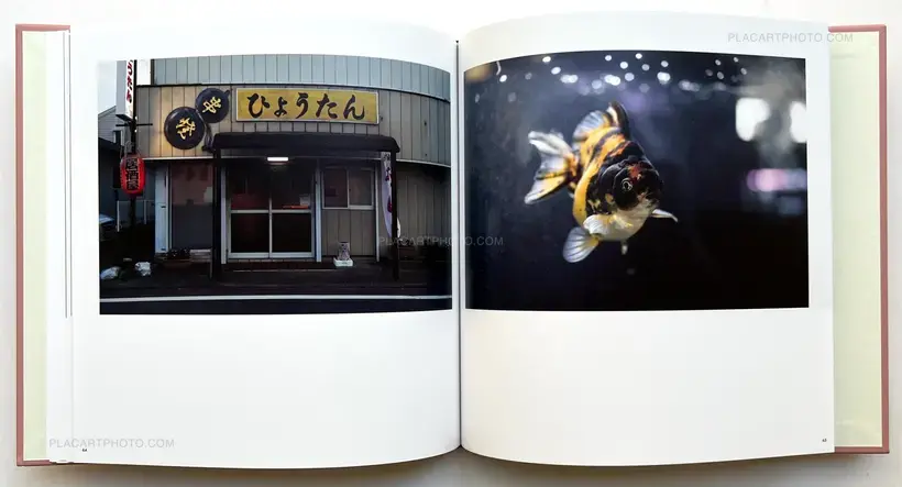 Atsushi Fujiwara – Sakura River (SIGNED)