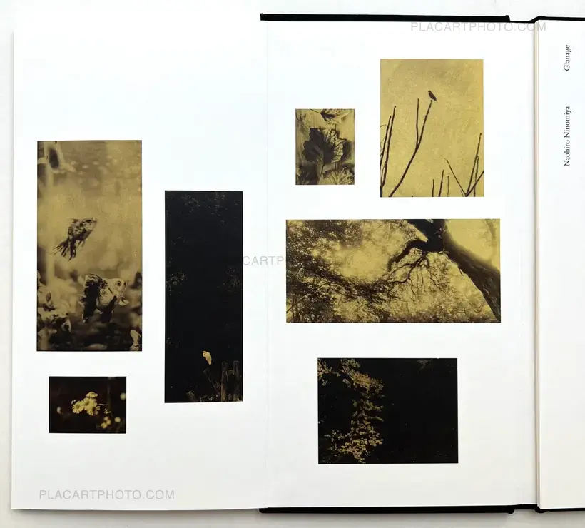 Naohiro Ninomiya – GLANAGE