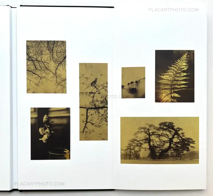 Naohiro Ninomiya – GLANAGE