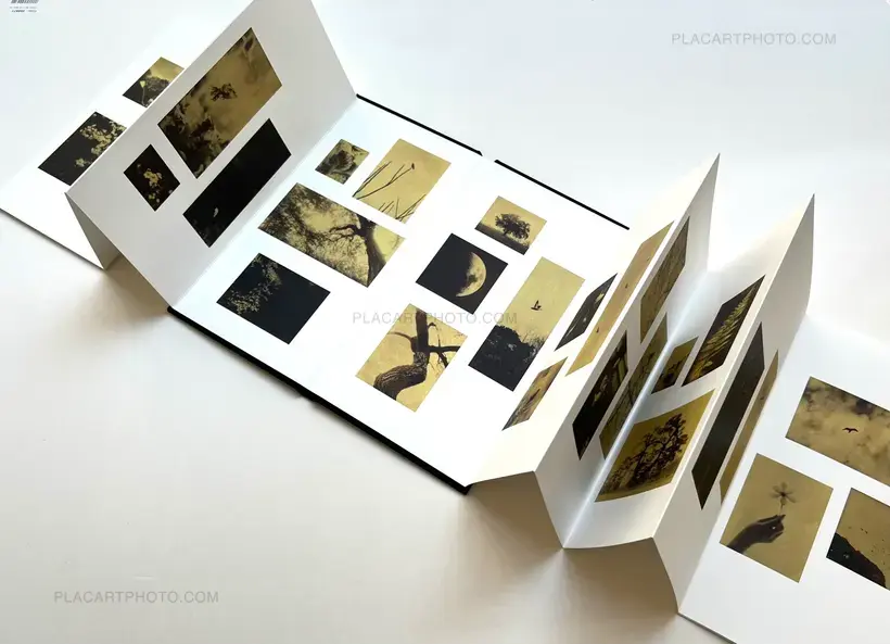 Naohiro Ninomiya – GLANAGE